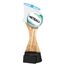 Toronto Netball Trophy