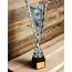 Chester Tennis Silver Trophy