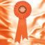 Orange Satin Feel Logo Rosette