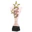 Triple Star Ballet Trophy