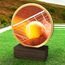 Holt Colour Tennis Real Wood Trophy