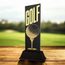 Shadowline Golf Ball Trophy – Stainless Steel Award