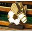 Sierra Classic Football Goalkeeper Wood Trophy