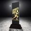 Shadowline School Sports Day Trophy – Stainless Steel Award