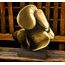 Sierra Classic Boxing Glove Real Wood Trophy