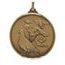 Diamond Edged Pigeon Racing Bronze Medal