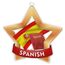 Spanish Studies Mini Star Bronze Medal