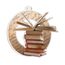 Rio Reading and Literature Medal