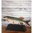 Ostrava Trout Fish Trophy
