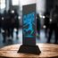 Shadowline Football Male Player of the Month Trophy – Stainless Steel Award
