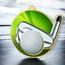 Aurum Golf Stainless Steel Medal
