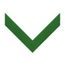 Green Clip on Medal Ribbon
