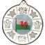 Welsh Logo Insert Silver Medal