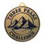 Quantum 3 Peaks Challenge Stainless Steel Medal