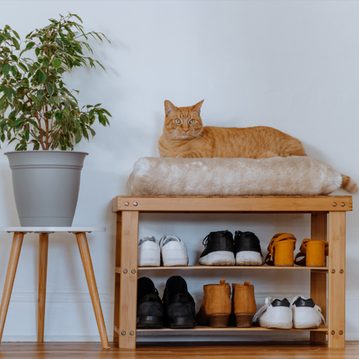 5 tips for storing your shoes properly and organising your shoe cupboard