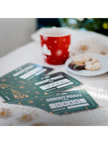 VÁNOČNÍ DÁRKOVÝ POUKAZ 2