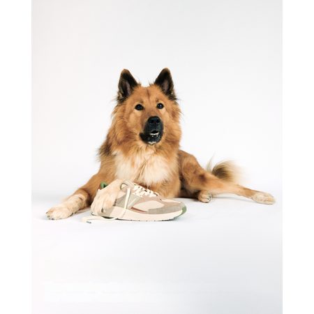 GROUNDIES® Starlite 2.0 Beige/Caramel Športni copatii