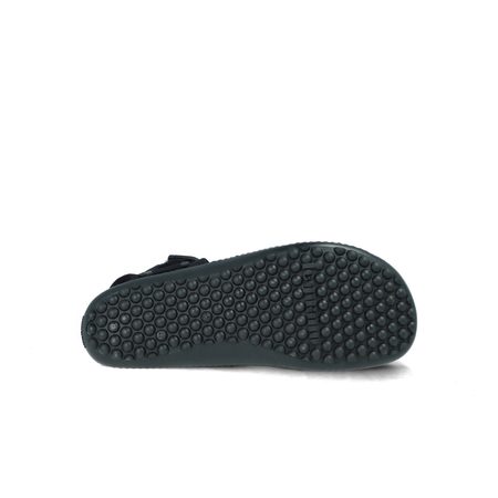 LEGUANO ATTREKKTIVE 4