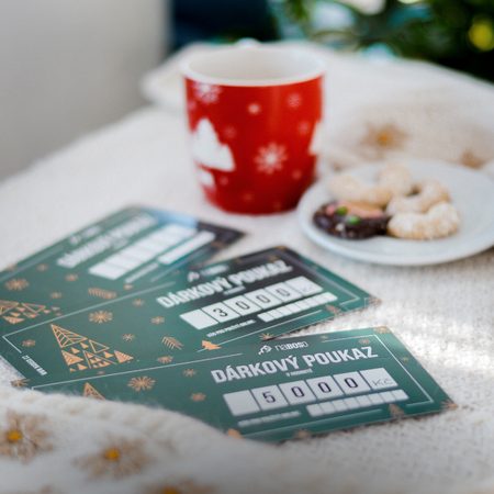 VÁNOČNÍ DÁRKOVÝ POUKAZ 2