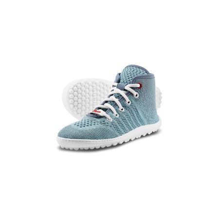 leguanito go: seablue