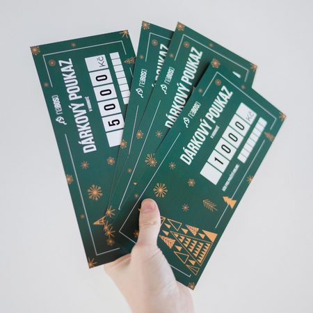 VÁNOČNÍ DÁRKOVÝ POUKAZ 3