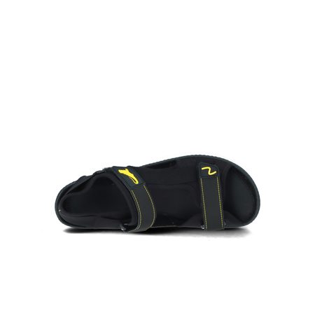 LEGUANO ATTREKKTIVE 5