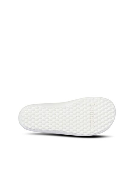 LEGUANO LEGUANITO SCIO Rose 8