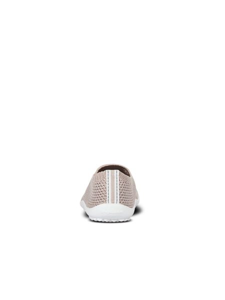 LEGUANO LEGUANITO SCIO Rose 6