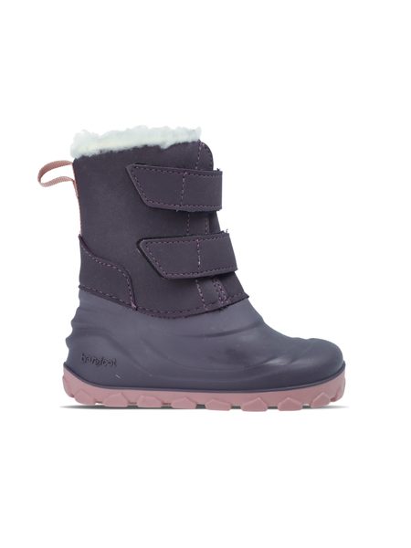 CRAVE BLIZZARD Purple