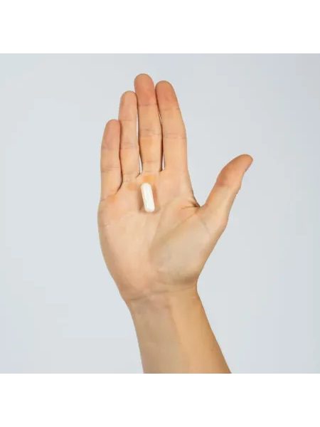 ASHWAGANDHA PURE EXTRACT 90 cps – pro psychickou pohodu a energii