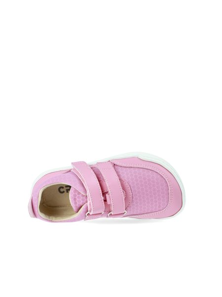 CRAVE CATBOURNE Pink 12