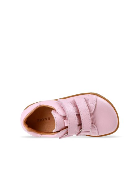 RAYVE SPRINGFIELD 2.0 Pink | Dětské barefoot tenisky