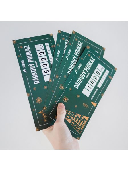 VÁNOČNÍ DÁRKOVÝ POUKAZ 3