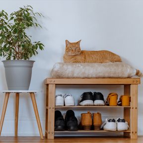 5 tips for storing your shoes properly and organising your shoe cupboard