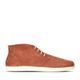 Botine