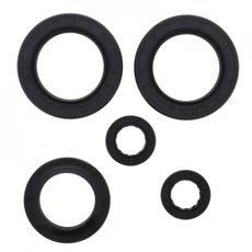 Wellendichtringsatz fürs Motor WINDEROSA EOSK 822144