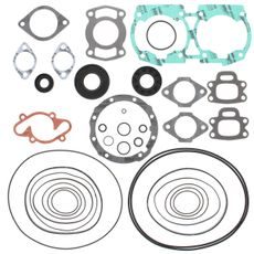 Complete gasket set with oil seal WINDEROSA PWC 611200