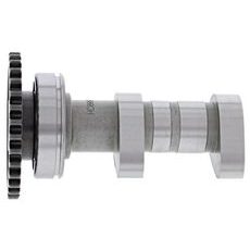 Camshaft intake HOT CAMS HC00059