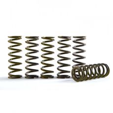 Hi-Temp Clutch Spring Kit HINSON CS755-6-001