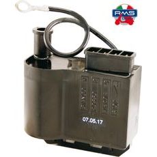 Zündspule RMS 246010051