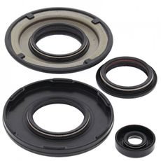 Wellendichtringsatz fürs Motor WINDEROSA EOSK 55205