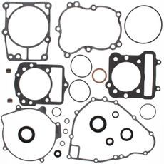 Complete Gasket Kit with Oil Seals WINDEROSA CGKOS 811873