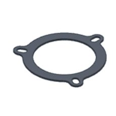 Graphite plate gasket MIVV 50.73.028.1 for big flange (3holes)
