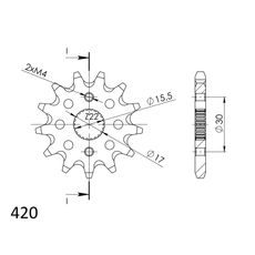 Ritzel SUPERSPROX CST-1256:13 13T, 420
