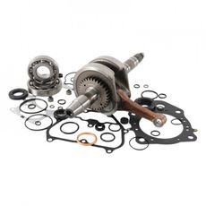 Bottom end kit HOT RODS CBK0220