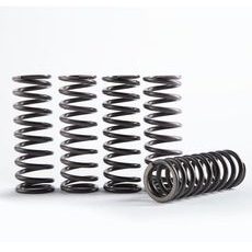 Hi-Temp Clutch Spring Kit HINSON CS330-5-0509 (set of 5)