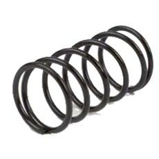 Kupplungsfeder RMS 121950140