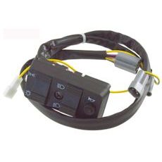 Lichtschalter RMS 246090260