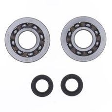 Crankshaft Rebuilding Kit ATHENA P400420444002 (bearing and oil seal kit)