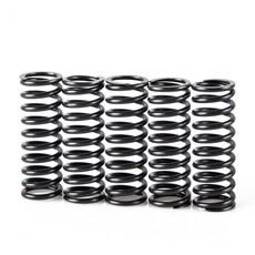 Kupplungsfedersatz MOTION STUFF